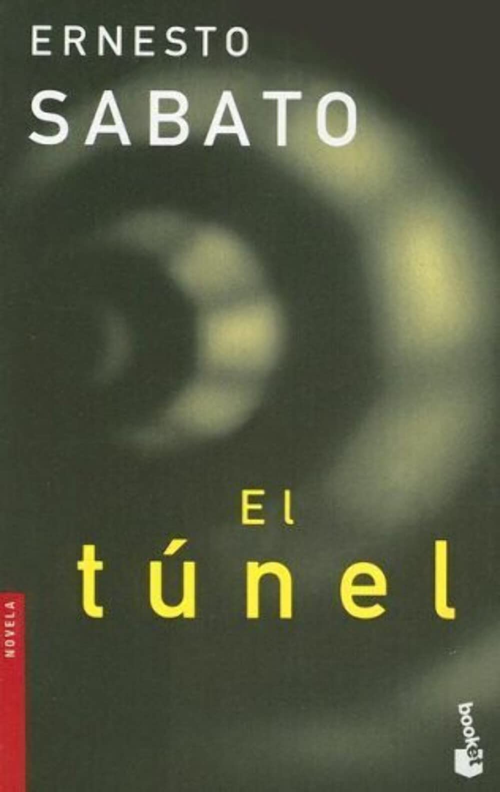 el tunel (Spanish Edition),Used
