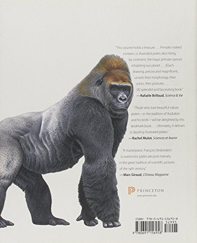 Primates of the World: An Illustrated Guide,Used