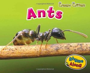 Ants (Creepy Critters),Used