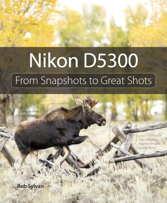 Nikon D5300: From Snapshots to Great Shots,Used