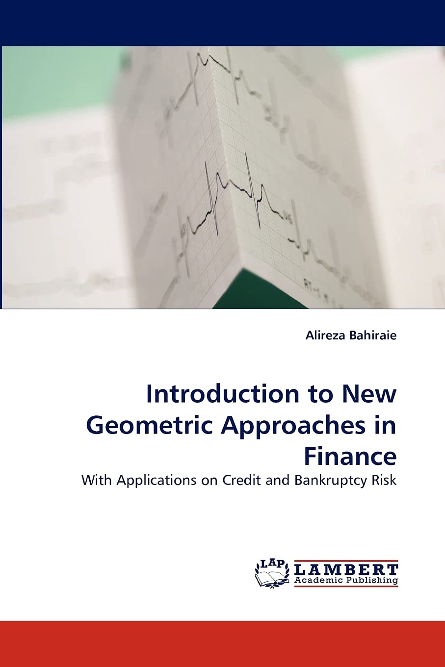 Introduction to New Geometric Approaches in Finance: With Applications on Credit and Bankruptcy Risk,Used