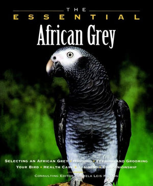 The Essential African Grey,Used