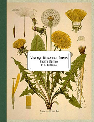 Vintage Botanical Prints: Eighth Edition,Used