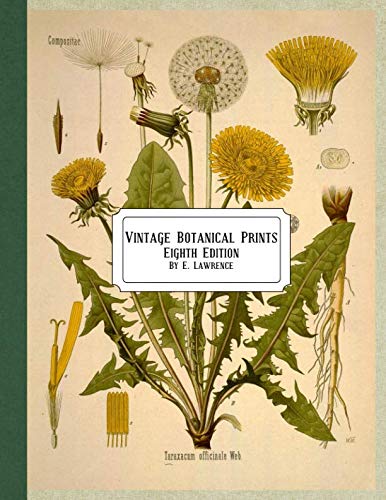 Vintage Botanical Prints: Eighth Edition,Used