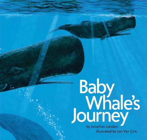 Baby Whale'S Journey,Used