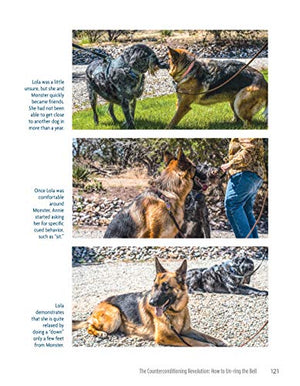 The Midnight Dog Walkers: Positive Training and Practical Advice for Living with Reactive and Aggressive Dogs (CompanionHouse Bo,Used