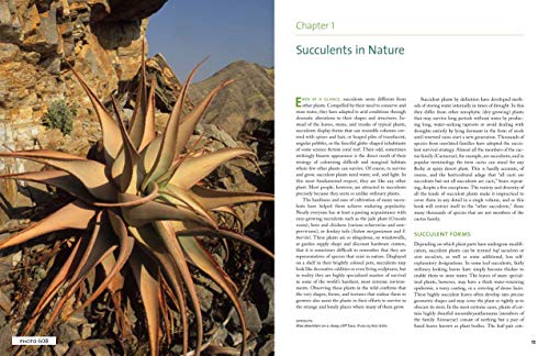 The Timber Press Guide To Succulent Plants Of The World: A Comprehensive Reference To More Than 2000 Species,New