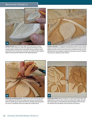 Intarsia Woodworking Projects: 21 Original Designs with FullSize Plans and Expert Instruction for All Skill Levels (Fox Chapel ,Used