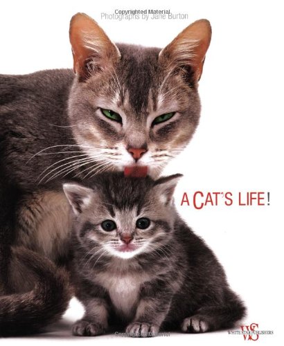 A Cat's Life,Used