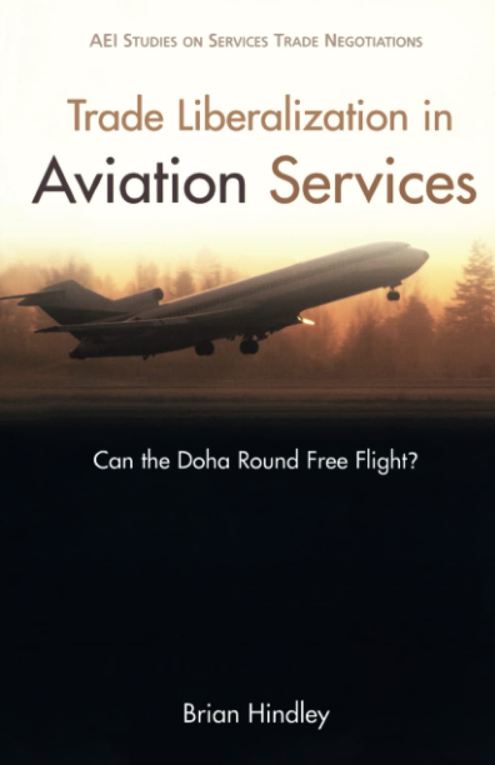 Trade Liberalization in Aviation Services: Can the DOHA Round Free Flight? (AEI Studies on Services Trade Negotiations),Used
