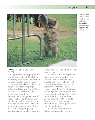 German Spitz (Comprehensive Owner's Guide),Used