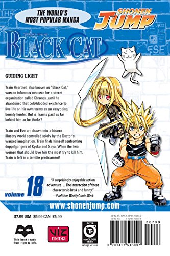 Black Cat, Vol. 18,Used