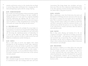 I Ching Complete Divination Kit: A 3Coin Set, 64 Hexagram Cards and Instruction Guide (Sirius Oracle Kits),Used