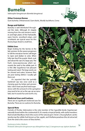 Wild Edible Plants of Texas: A Pocket Guide to the Identification, Collection, Preparation, and Use of 60 Wild Plants of the Lon,Used