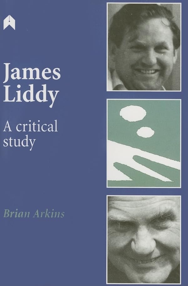 James Liddy: A Critical Study (Arlen Academic),New