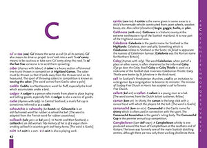 Scots Dictionary (Collins Little Books),Used