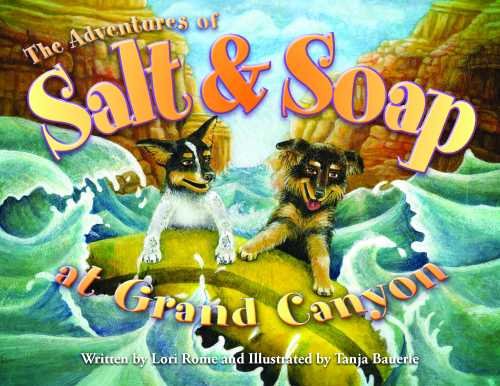 The Adventures of Salt and Soap at Grand Canyon,Used