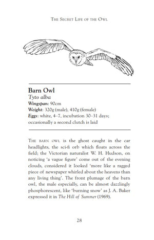 Secret Life Of The Owl,Used