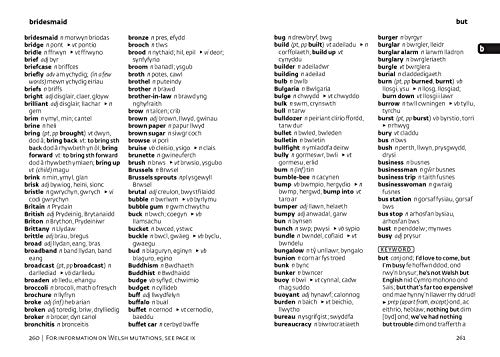 Welsh Dictionary (Collins Gem),Used