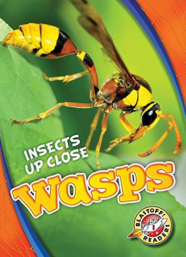 Wasps (Insects Up Close),New