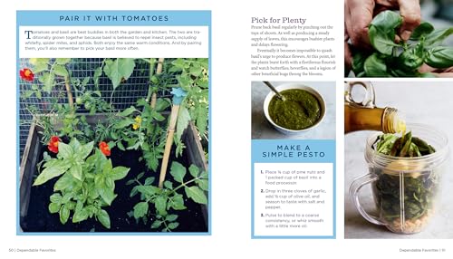 Growveg: The Beginner'S Guide To Easy Vegetable Gardening