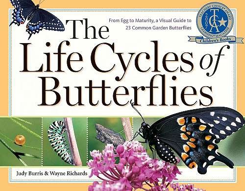 The Life Cycles Of Butterflies  Book