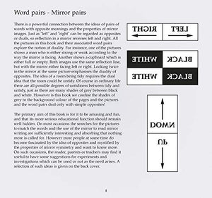 Look Twice: Use the Mirror to Find Pairs of Opposites,Used