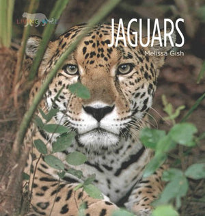 Living Wild: Jaguars