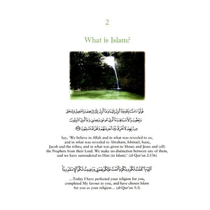 In the Prophet's Garden: A Selection of Ahadith for the Young,Used