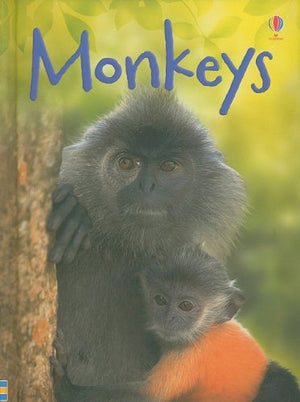 Monkeys (Usborne Beginners),Used
