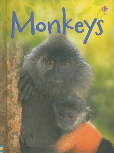 Monkeys (Usborne Beginners),Used