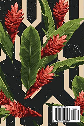 Address Book: For Contacts, Addresses, Phone, Email, Note,Emergency Contacts,Alphabetical Index With Seamless Tropical Pattern,Used