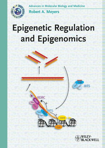 Epigenetic Regulation and Epigenomics,Used