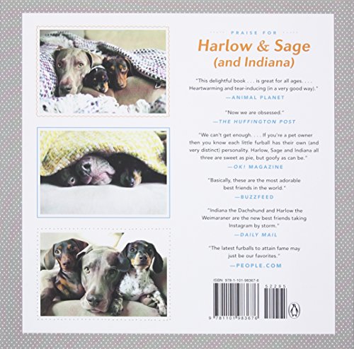 Harlow & Indiana (and Reese): A True Story About Best Friends...and Siblings Too!,Used