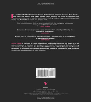 Dangerous Crossroads: Popular Music, Postmodernism and the Poetics of Place (Haymarket Series),Used