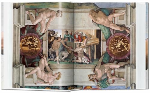 Michelangelo: The Complete Paintings, Sculptures and Architecture, 14751654,Used