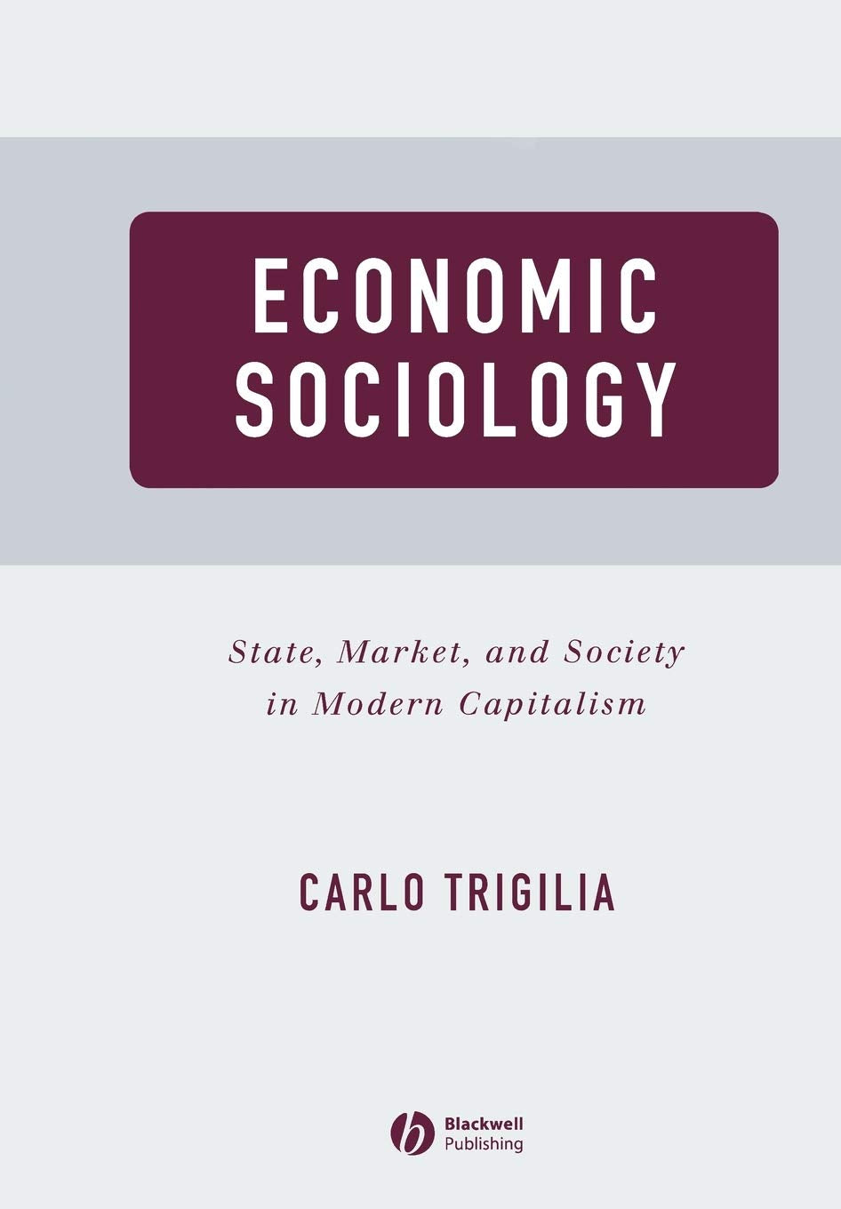 Economic Sociology: State, Market, and Society in Modern Capitalism,Used