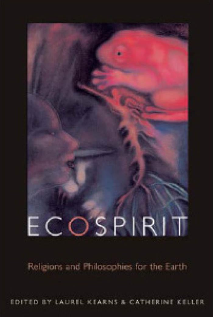Ecospirit: Religions and Philosophies for the Earth (Transdisciplinary Theological Colloquia),New