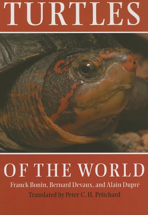 Turtles Of The World,New