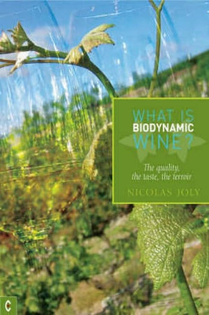 What Is Biodynamic Wine: The Quality, The Taste, The Terroir
