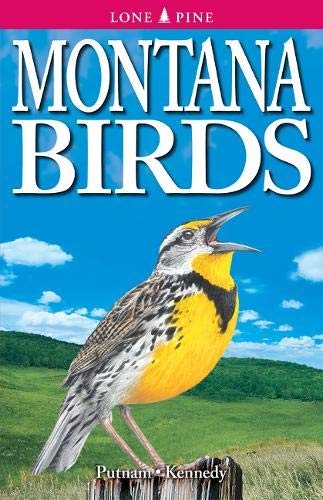 Montana Birds,Used
