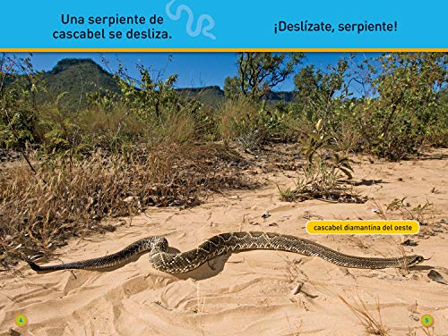 National Geographic Readers: Deslzate, Serpiente! (Prereader)Spanish Edition,Used