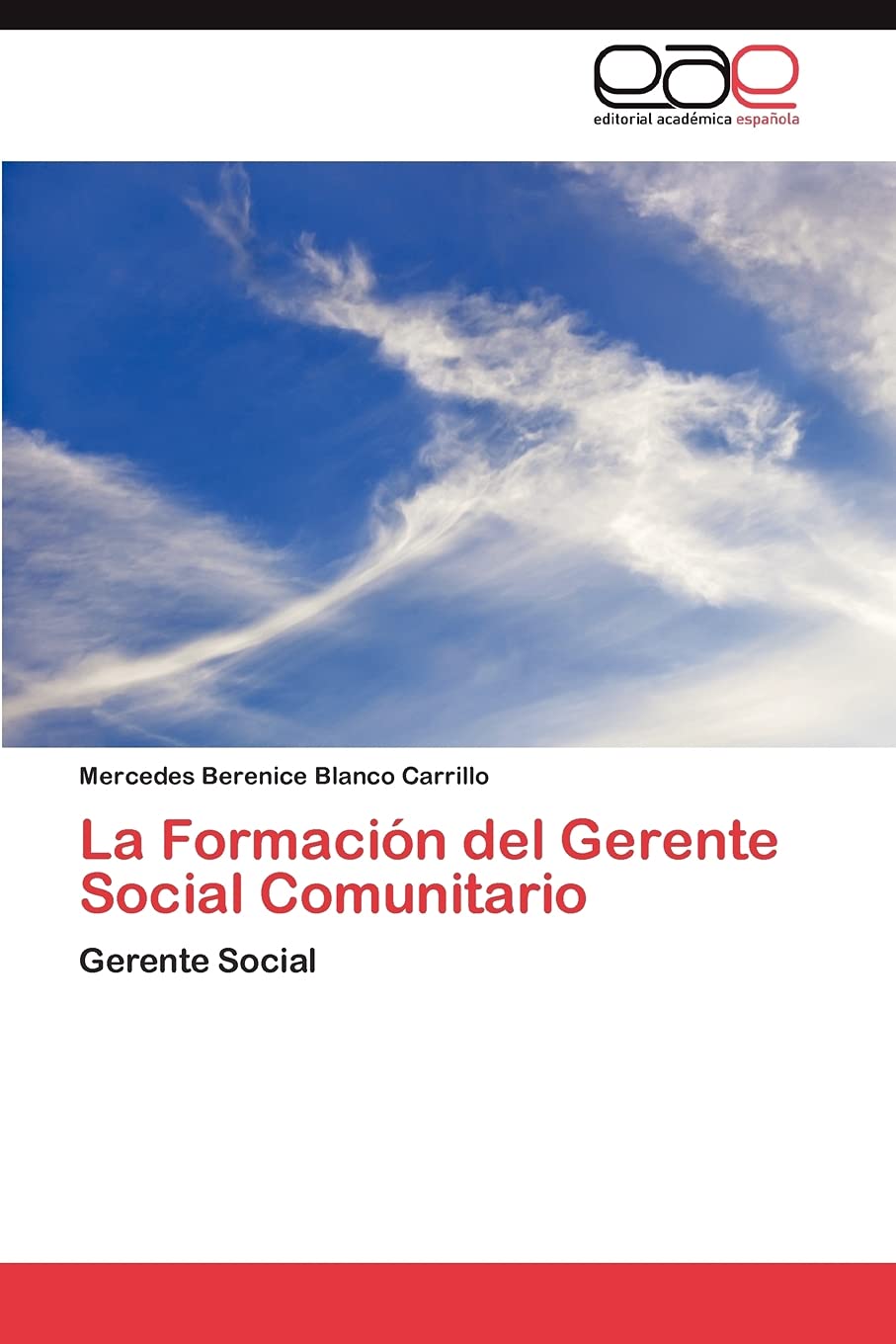La Formacin del Gerente Social Comunitario: Gerente Social (Spanish Edition),Used