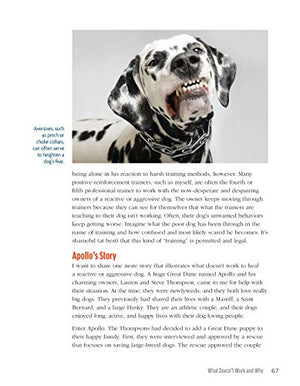 The Midnight Dog Walkers: Positive Training and Practical Advice for Living with Reactive and Aggressive Dogs (CompanionHouse Bo,Used