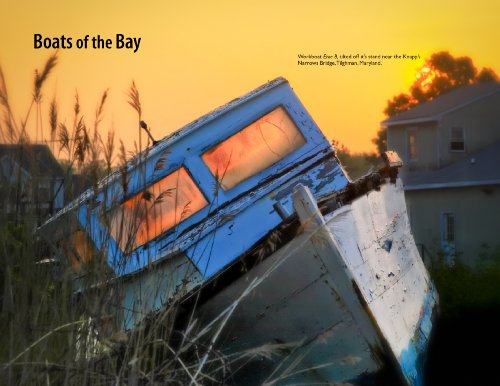 Chesapeake Views,Used