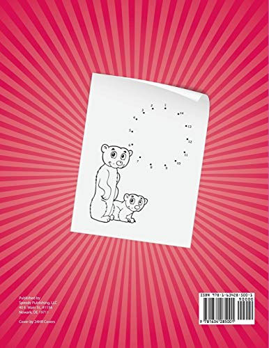 Puzzle Book for Kids,Used