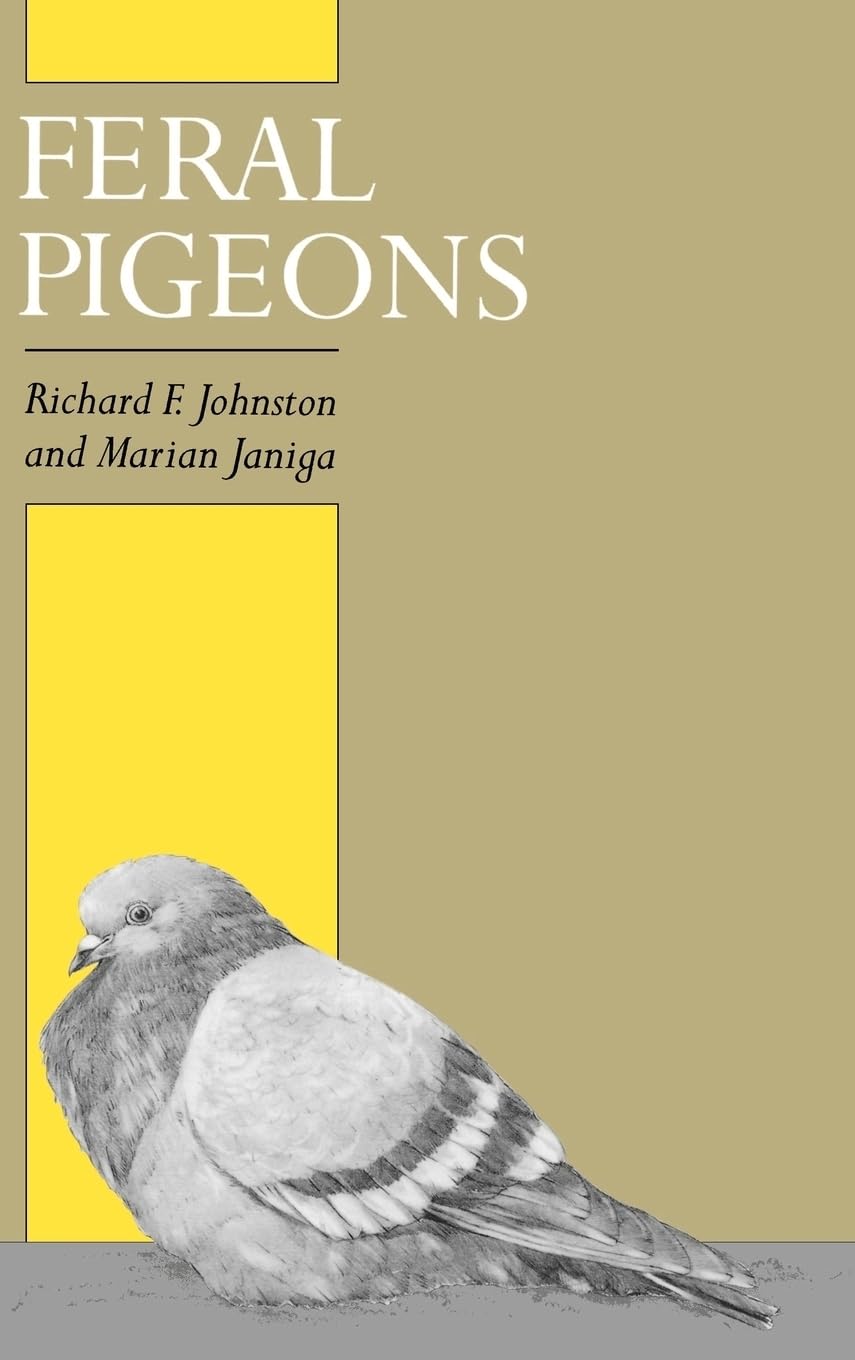 Feral Pigeons,Used