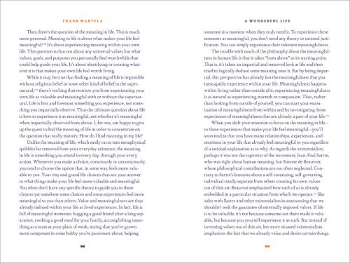 A Wonderful Life: Insights on Finding a Meaningful Existence,Used
