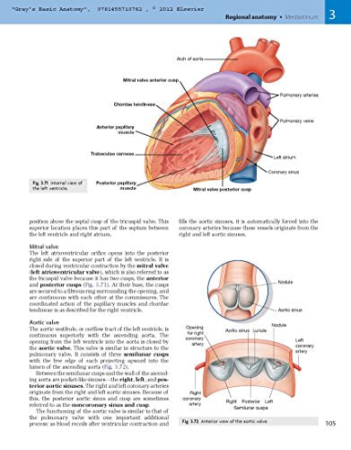 Gray's Basic Anatomy with Student Consult,Used