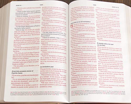 Biblia Peshitta. Tapa dura / Peshitta Bible. Hardcover (Spanish Edition),Used